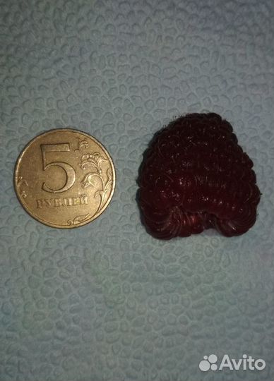 Саженцы ремонтантной малины