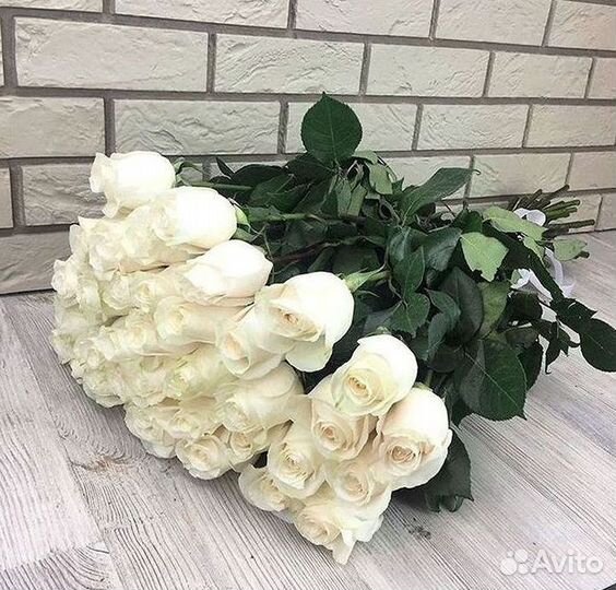 Высокие Розы Гиганты Доставка Круглосуточно