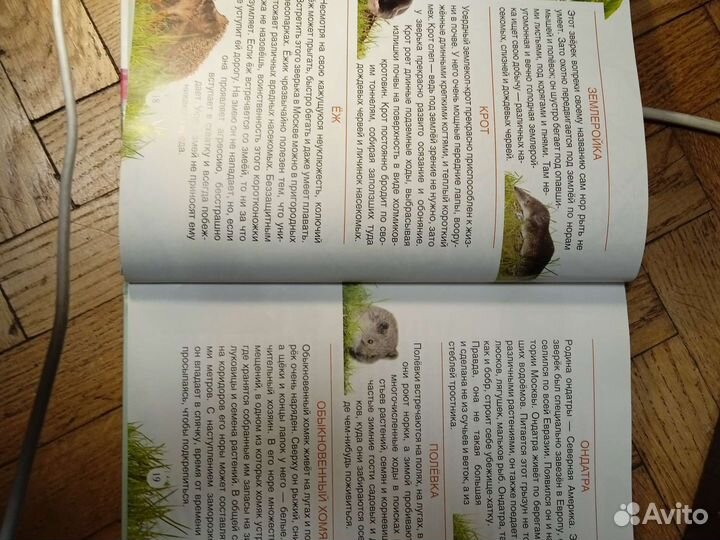 Кто живёт рядом с нами