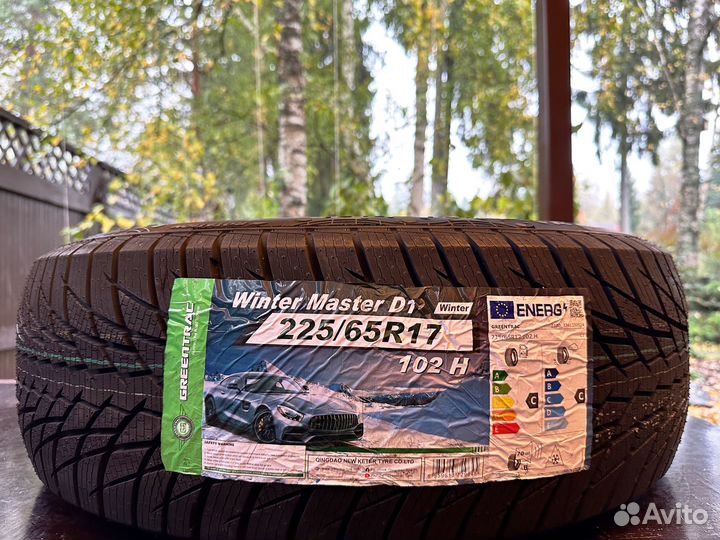 Greentrac Winter Master D1 225/65 R17 102H