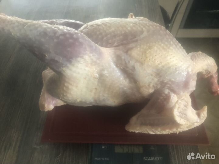 Мясо индюшки