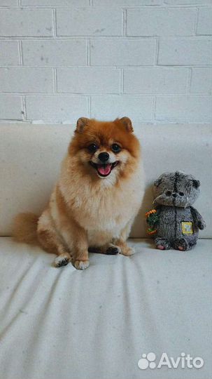 Обучение с нуля