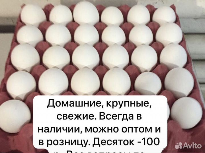 Домашние куриные яйца оптом