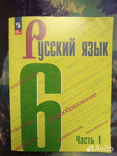 Учебник русский язык 6 класс 1 часть