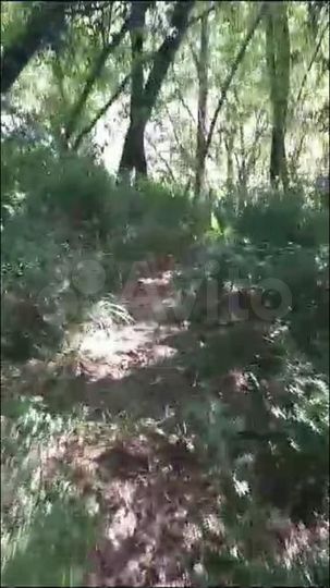 Участок 5,08 га (СНТ, ДНП)