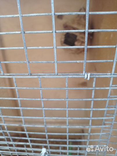 Клетка для птиц