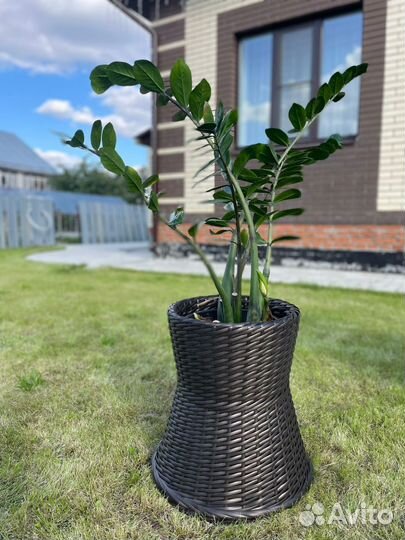 Кашпо горшки вазоны