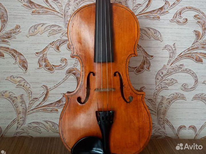 Скрипка 44