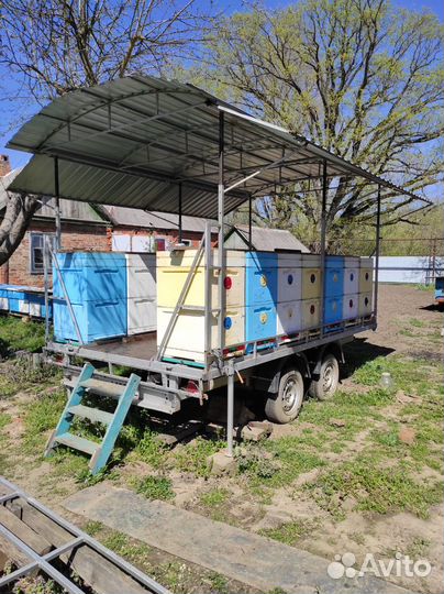 Прицеп для пчел