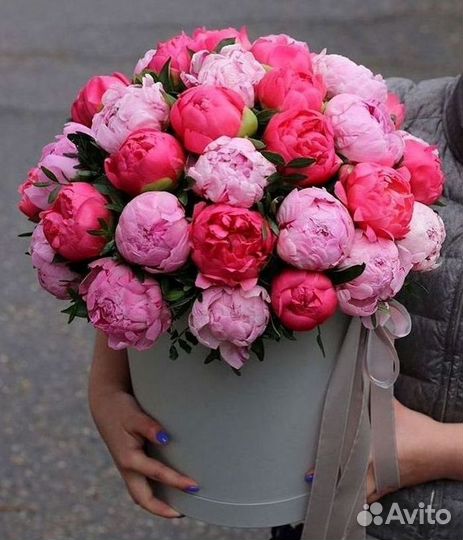 Пионы Цветы Доставка