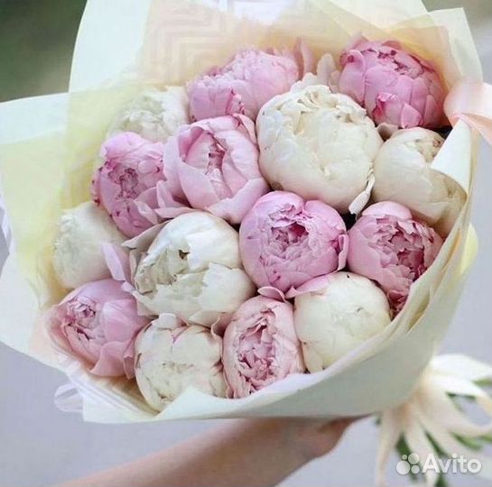 Пионы Букет пионов