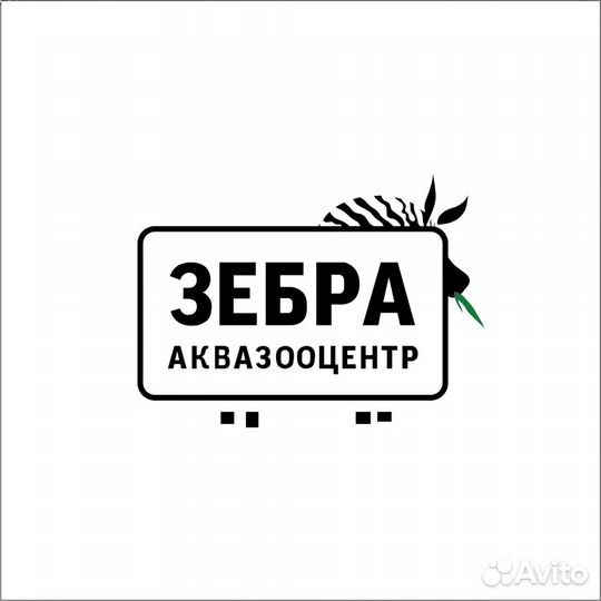 Продавец-консультант, Помощник аквариумиста