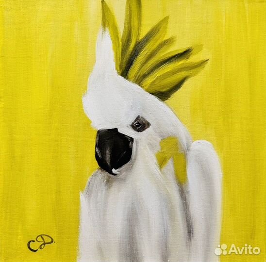 Картина Белый Попугай 30х30, масло, холст