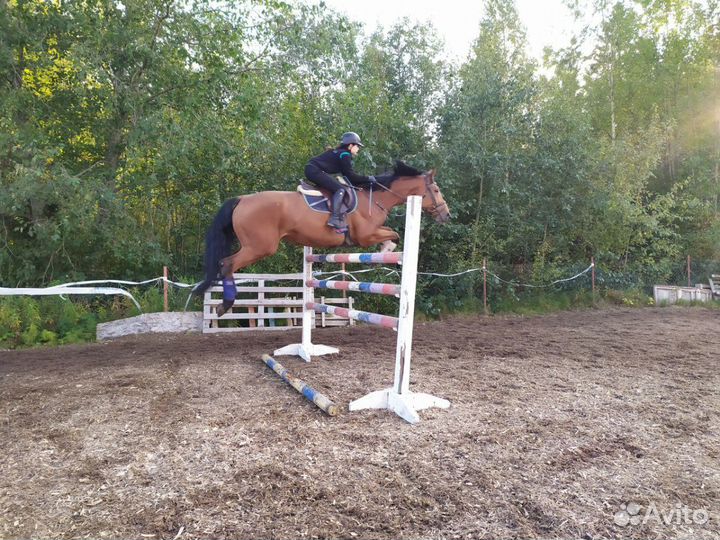 Постой лошадей