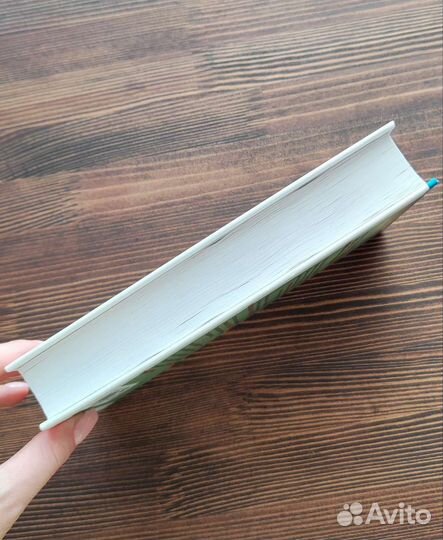 Книга несчастных случаев, Чак Вендиг