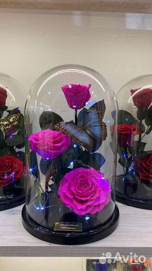 Живая роза в колбе