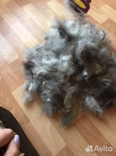 Шерсть(пух) Хаски