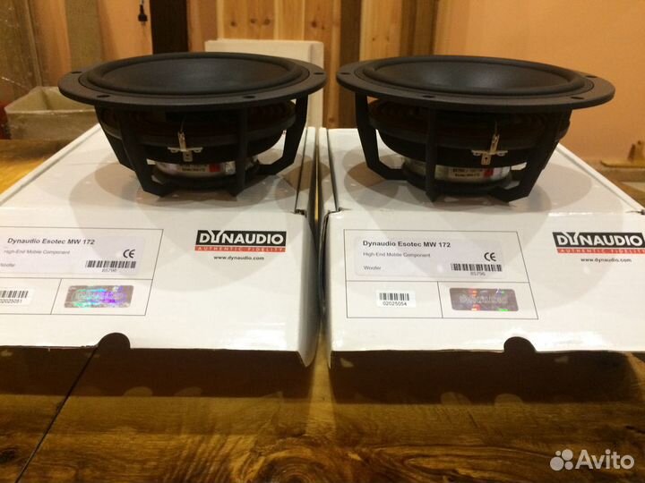 Dynaudio best sale mw 172