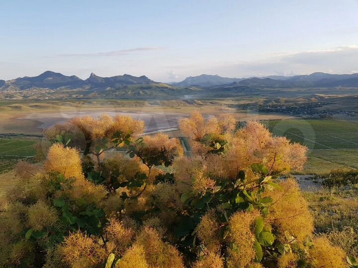 Участок 50 сот. (ИЖС)