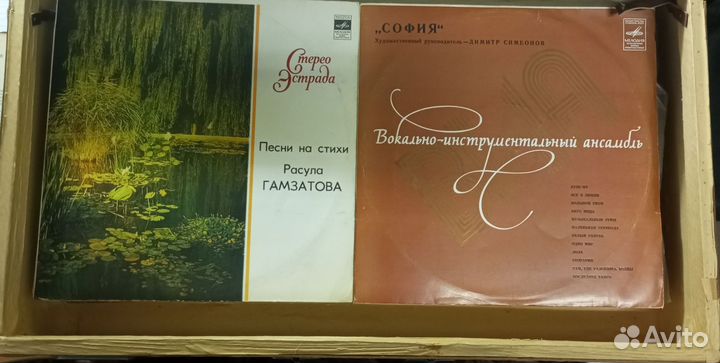 Виниловые пластинки