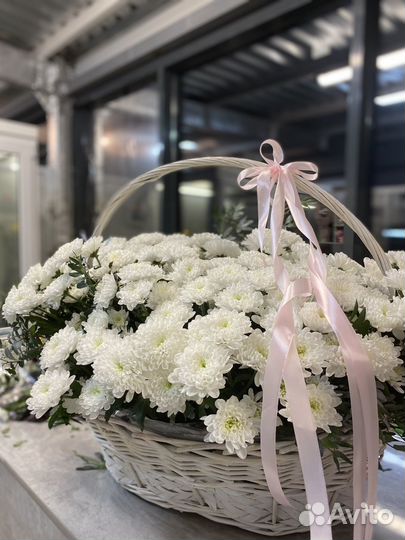 Вау корзина с хризантемами