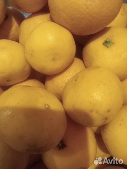 Вкусная посылка