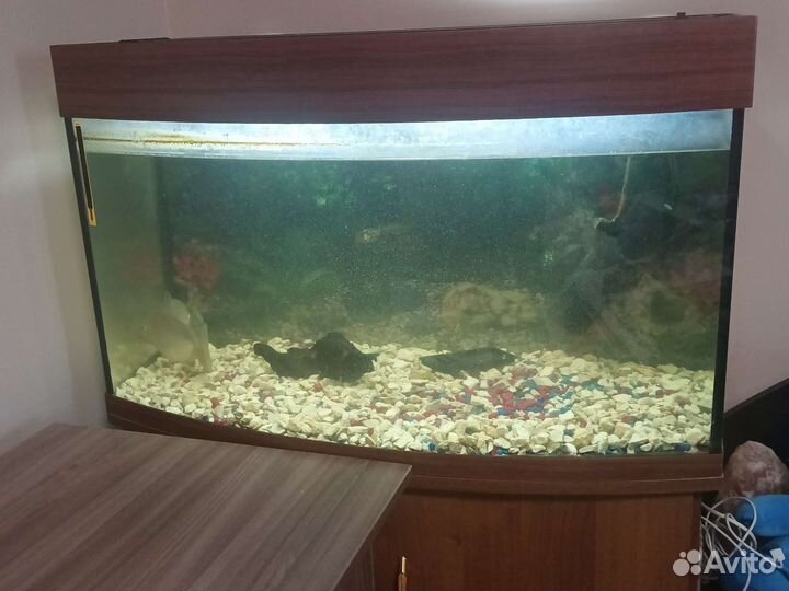 Украшение для аквариума