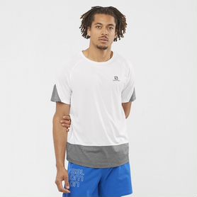 Футболка Salomon Cross Run SS TEE M - 10 цветов