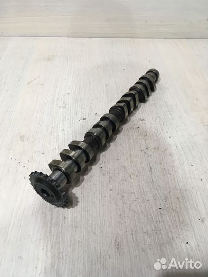 Распредвал впускной Ауди А4 Б6 1.8 AWM AWT