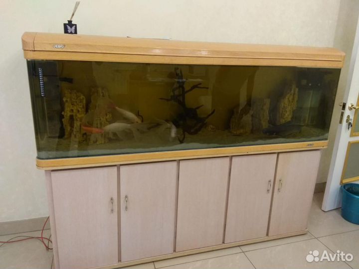 Аквариум jebo