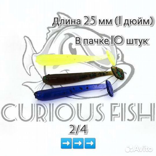 Curious Fish - Fish minnow 1 дюйм (25мм)