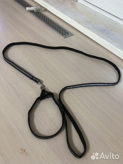 Поводок и ошейник для кошек