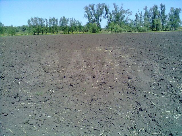 Дом 40 м² на участке 30 сот.