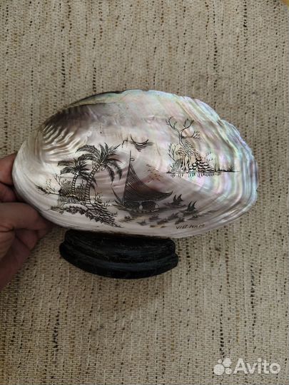 Ракушка сувенир Вьетнам
