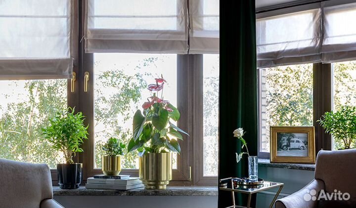 Окна дерево