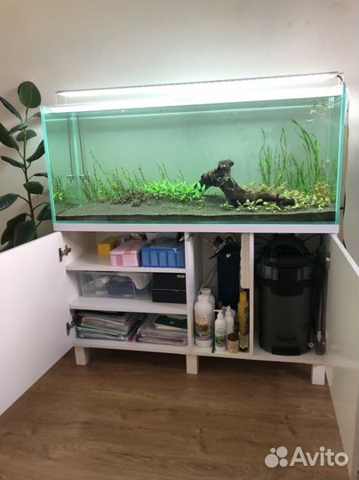Аквариум