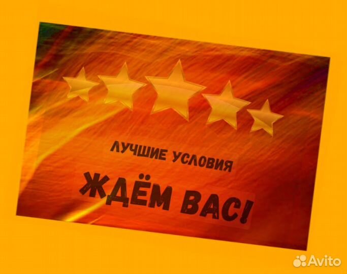 Комплектовщик Спецодежда Еженедельный аванс М/Ж