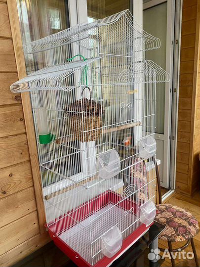 Большая клетка для птиц
