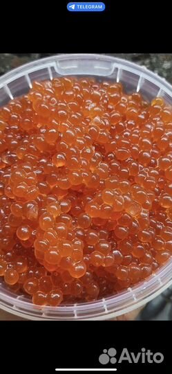 Красная икра опт + розница