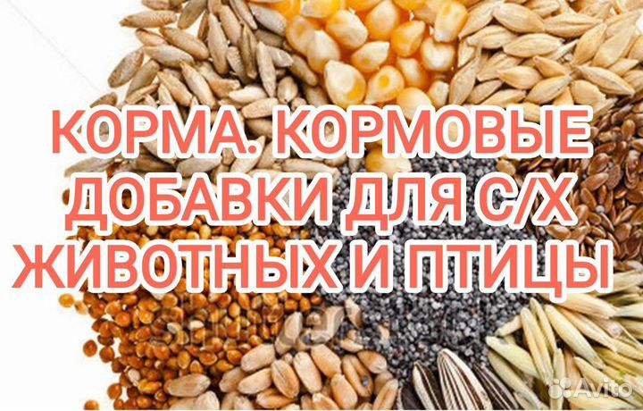 Корма кормовые добавки