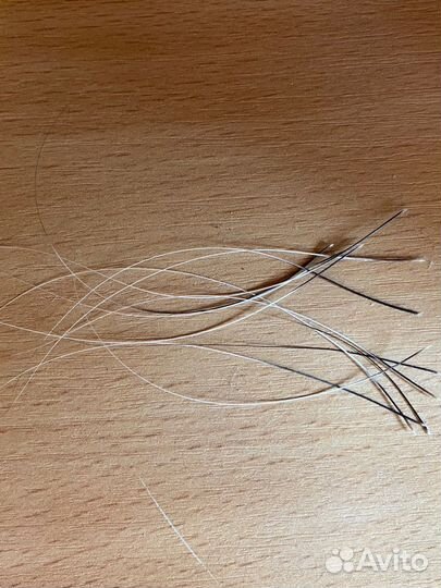 Кошачьи усы