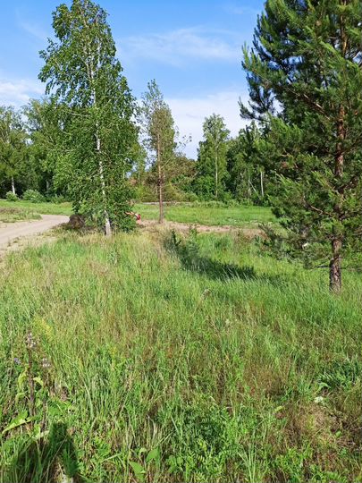 Участок 13,4 сот. (СНТ, ДНП)