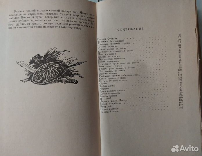 Роман Слёзы Турана. Туркменская повесть о любви
