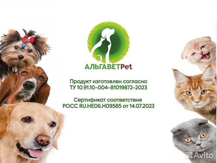 Живая хлорелла для животных Альгавет Pet 10,0 л