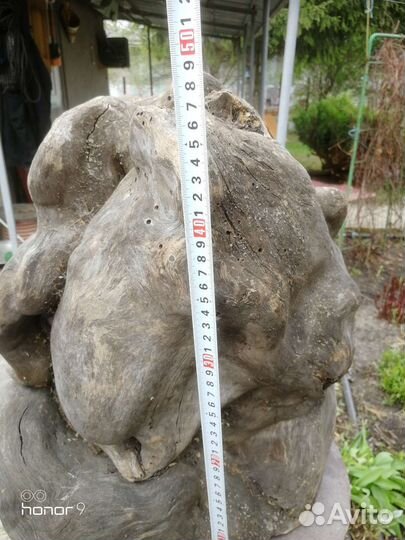 Кап березовый