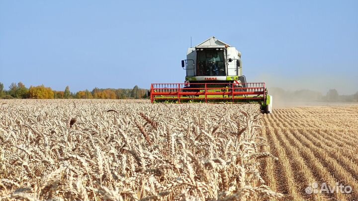 Комбайн Claas Dominator, 2023