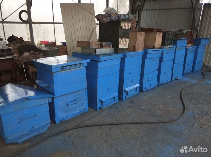 Ульи для пчел с рамками б/у