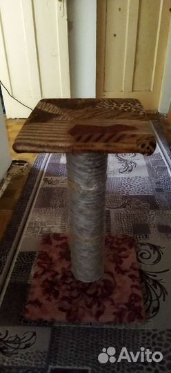 Когтеточка