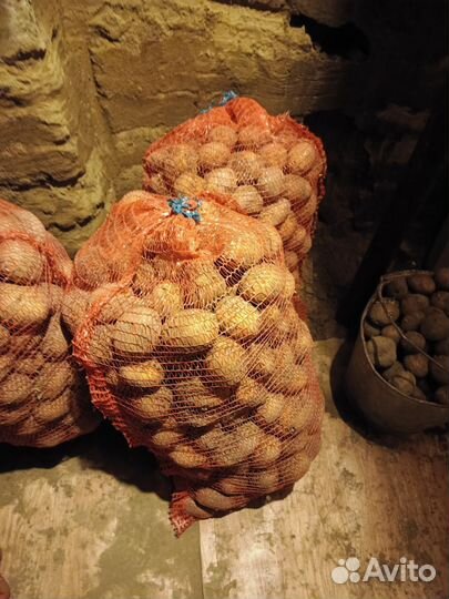 Продам картофель домашний