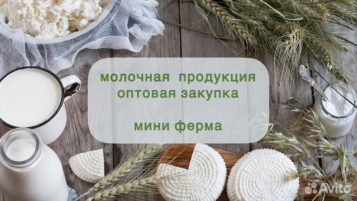 Молочная продукция